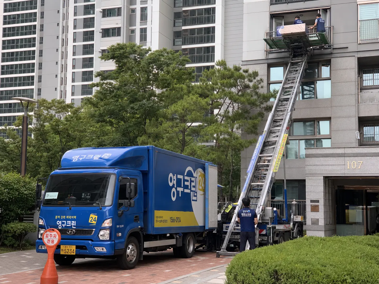 경주시 중부동 이사 원인분석